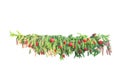 Christmas tree branch decorated with red balls