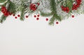 Christmas tree branch decorated with snow and red berries on a white background with copy space for text and image. Royalty Free Stock Photo