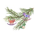 Christmas Tree Branch decorated with Xmas tree toys. Cat, Bird, Horse. Kid Wooden Decorations on Spruce Branch. Watercolor