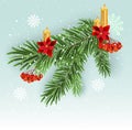 Christmas tree branch decoration. Green lush spruce branch. Fir branches Royalty Free Stock Photo