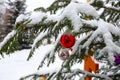 Christmas tree branch with decorations on the background of the Orthodox cross with a crucifix. The Orthodox Church. Winter is Chr