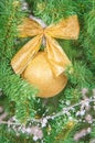 Christmas tree branch with decorations beckground