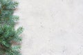 Christmas tree branch on a gray background, festive mood, gift season. Winter holidays concept. Royalty Free Stock Photo