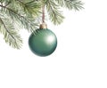 Christmas tree branch with green ball. Holiday card with glass ball on fir branches isolated on white background Royalty Free Stock Photo