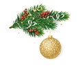 Christmas tree branch isolated on white. Holiday decoration with golden glitter ball, holly berry and ribbons. Vector