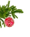 Christmas tree branch with red decorate ball isolated on white Royalty Free Stock Photo