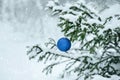 Christmas tree branch in the snow with blue bauble and snowflakes. Winter time in the forest. Copy space Royalty Free Stock Photo