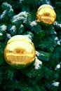 Christmas tree branch with snow and golden balls, close-up. New Year vintage ornament for festive Royalty Free Stock Photo