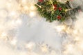 Christmas tree branch on a white background with holiday garland lights. Royalty Free Stock Photo