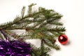 Christmas tree branch on white background.  The view from the top Royalty Free Stock Photo
