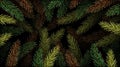 Christmas tree branches background. Xmas border of evergreen branch of lush pine. Spruce pattern, closeup winter fir for Royalty Free Stock Photo