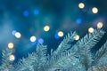 Christmas tree branches on blurred blue holiday background with Royalty Free Stock Photo