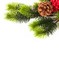Christmas tree branches border over white Royalty Free Stock Photo