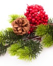 Christmas tree branches border over white Royalty Free Stock Photo