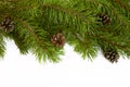 Christmas tree branches border on a white background. Royalty Free Stock Photo