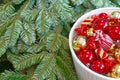 Christmas tree branches and Christmas decorations. Red balls and christmas tree branch