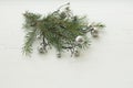 Christmas tree branches and decorations on a white textured horizontal background Royalty Free Stock Photo