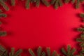 Christmas tree branches in the form of a frame on a red background, Christmas concept, greeting card copy space Royalty Free Stock Photo