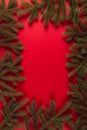 Christmas tree branches in the form of a frame on a red background, Christmas concept, greeting card copy space Royalty Free Stock Photo