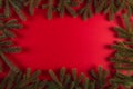 Christmas tree branches in the form of a frame on a red background, Christmas concept, greeting card copy space Royalty Free Stock Photo