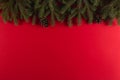 Christmas tree branches in the form of a frame on a red background, Christmas concept, greeting card copy space Royalty Free Stock Photo