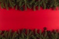 Christmas tree branches in the form of a frame on a red background, Christmas concept, greeting card copy space Royalty Free Stock Photo