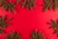 Christmas tree branches in the form of a frame on a red background, Christmas concept, greeting card copy space Royalty Free Stock Photo