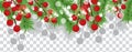 Christmas tree branches with holly berries on a transparent background. Holidays decoration banner. Vector Royalty Free Stock Photo