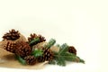 Christmas Tree Branches, Pine Cones, and Burlap Border White Background Royalty Free Stock Photo