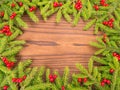 Christmas tree branches and red berries frame on the dark backgr
