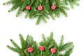 Christmas tree branches and red lolipop on a white background. View from above. Royalty Free Stock Photo