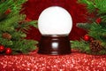 Christmas tree branches with snowglobe