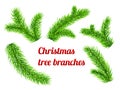 Christmas tree branches