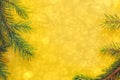 Christmas tree branches on yellow festive background bokeh lights,   copy space     . Royalty Free Stock Photo