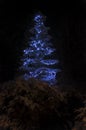 Christmas tree with bright festive blue lights in winter night forest. Royalty Free Stock Photo