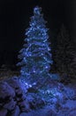 Christmas tree with bright festive blue lights in winter night forest.