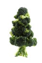 Christmas tree from brocolli Royalty Free Stock Photo