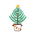 Christmas tree in bucket flat vector illustration. New Year pine decorated with garlands and balls isolated on white