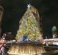 Christmas Tree at Campus Martius Park at night in downtown Detroit, Michigan at Christmastime. A giant Christmas Tree is on top of