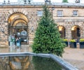 Outdoor Christmas tree in a quiet courtyard