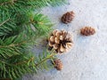 Christmas tree with Christmas decorations, background image Royalty Free Stock Photo