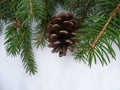 Christmas tree with Christmas decorations, background image Royalty Free Stock Photo