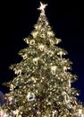 Christmas tree at a Christmas market in Poznan, Poland Royalty Free Stock Photo