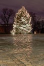 Christmas tree in city park at night Royalty Free Stock Photo