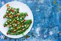 Christmas tree colorful festive salad Royalty Free Stock Photo