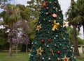 Christmas tree with colorful ornamnets surrounded by tropical plants.