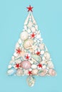 Christmas Tree Concept Shape with Seashell Collection Royalty Free Stock Photo