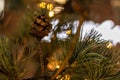 Christmas tree with cones on a city street illuminated with a garland and advertising lights Royalty Free Stock Photo