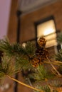 Christmas tree with cones on a city street illuminated with a garland and advertising lights Royalty Free Stock Photo