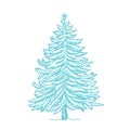 Christmas tree. Conifer. Blue spruce. Frosty winter snow. New year fir-tree postcard background. Hand drawn contour